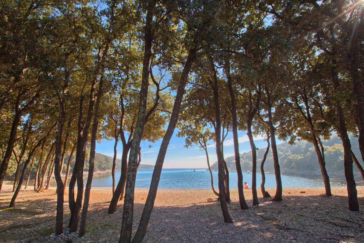 Resort Duga Uvala Pavicini Экстерьер фото